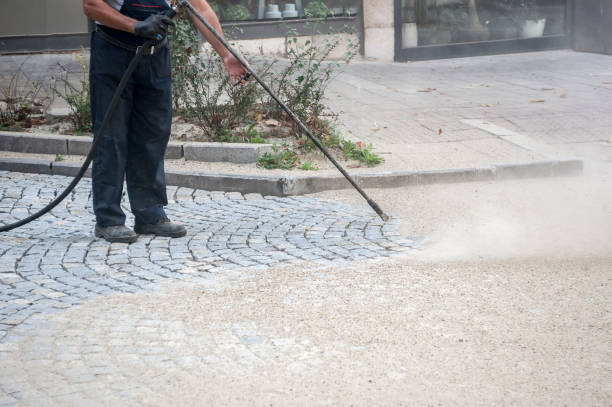 Best Sidewalk and Walkway Cleaning  in Clifton Springs, NY