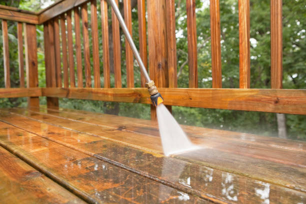 Best Animal Enclosure Cleaning  in Clifton Springs, NY